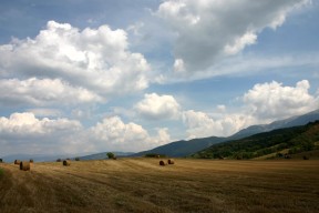 世界短道速滑训练营器材采购中标名单公布，国际短道速滑